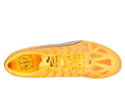 EvoSPEED Distance 10