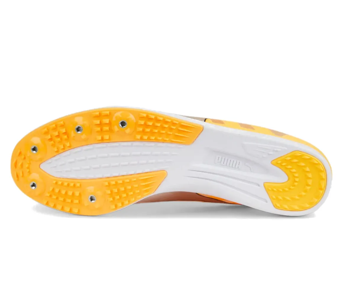 EvoSPEED Distance 10
