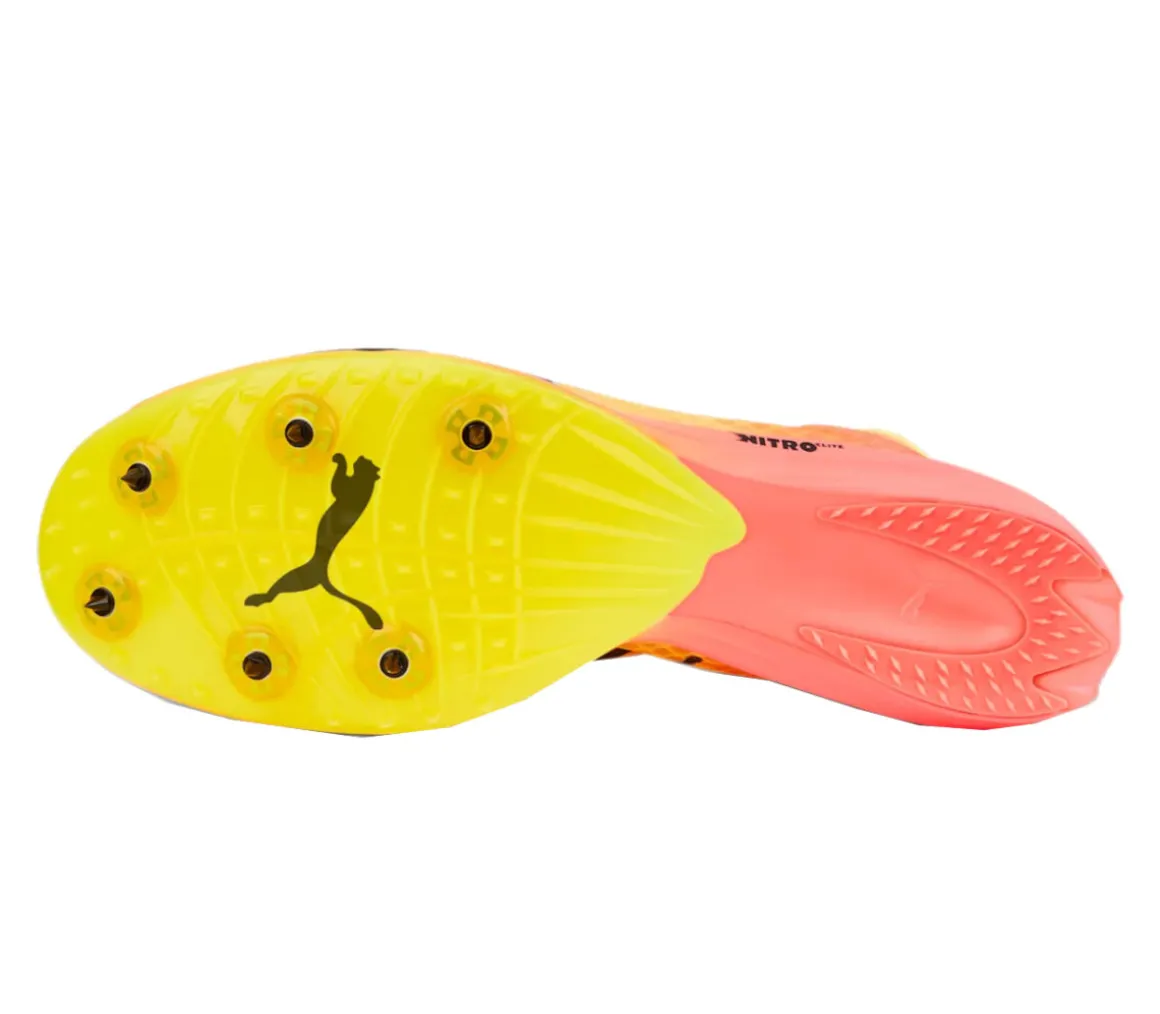 EvoSPEED Distance Nitro Elite