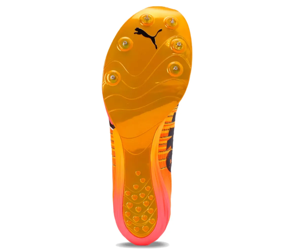 evoSPEED Forte Nitro Elite