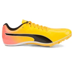 EvoSPEED Sprint 14