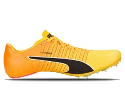 EvoSPEED Tokyo Future 4