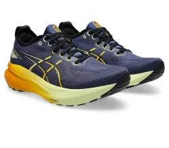 Gel-Kayano 31